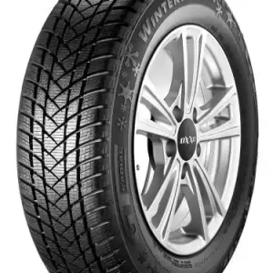 Vezi acum Anvelopa Iarna 195/65R15 91H Gt radial Winterpro2