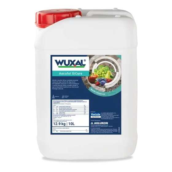 Vezi acum Biostimulator pe baza de alge marine, cu adaos de bor, mangan si zinc, imbogatit cu ortosilicat, Wuxal Ascofol SiCure, 10 l