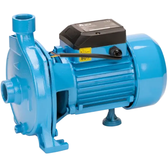 Premium Pompa de suprafata CPM Aqua, 550 W