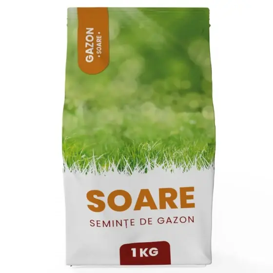 Seminte de gazon Soare, Gazonul, 1 kg Preferatul clienților