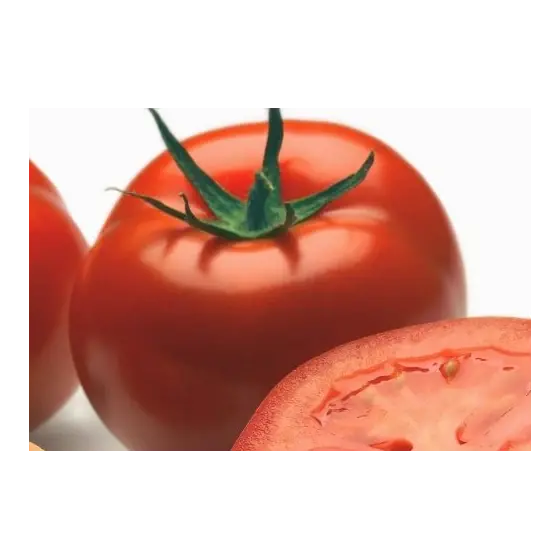 Seminte de tomate Logure F1, 100 seminte, Rijk Zwaan Comandă acum