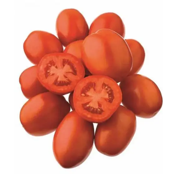 Cumpără acum Seminte de tomate determinate Jag 8810 F1, 10000 seminte, Seminis