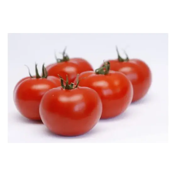 Seminte de tomate Abellus F1, 100 seminte, Rijk Zwaan Calitate înaltă