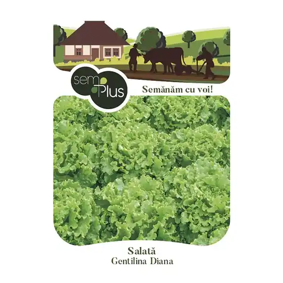 Seminte de salata Gentilina, 1 gram, SemPlus Cumpărături sigure