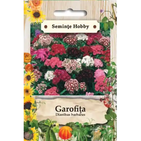 Ultima șansă Seminte de garofite, 0,2 grame, SemPlus