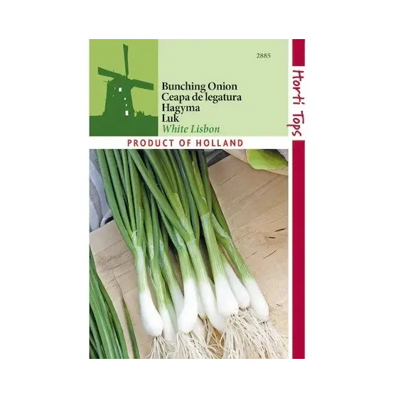 Seminte de ceapa verde White Lisbon, 2 grame, Horti Tops Comandă acum