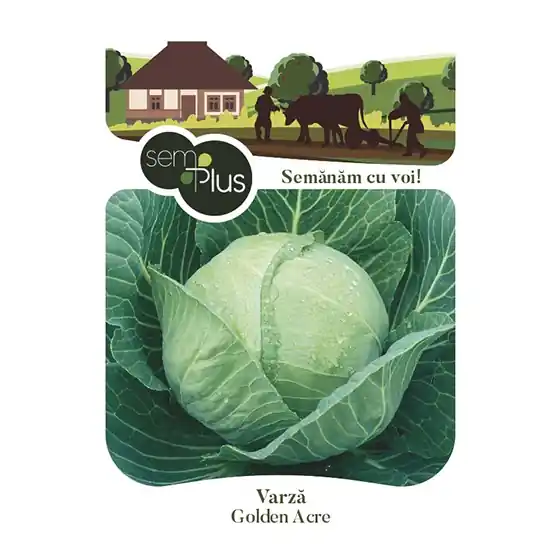 Seminte de varza Golden Acre, 2 grame, SemPlus Bestseller