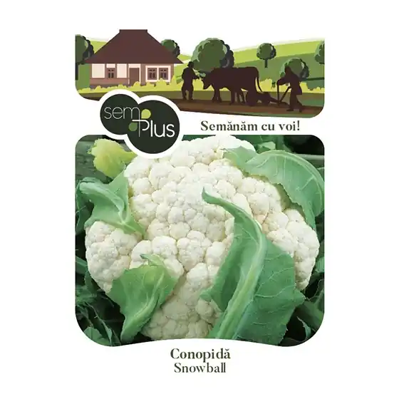 Seminte de conopida Snowball, 1 gram, SemPlus Promoție