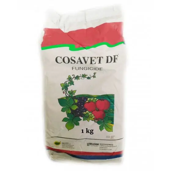 Ultima șansă Fungicid Cosavet 80 DF, 1 kg