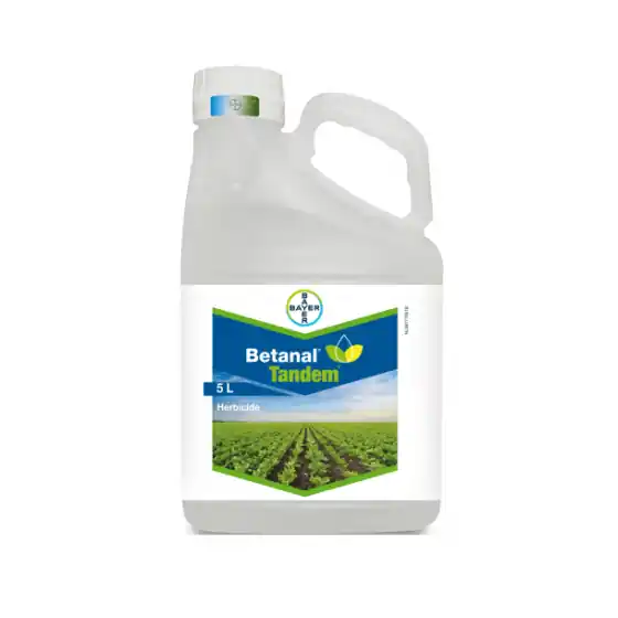 Discount Erbicid Betanal Tandem 390 SC, 5 l