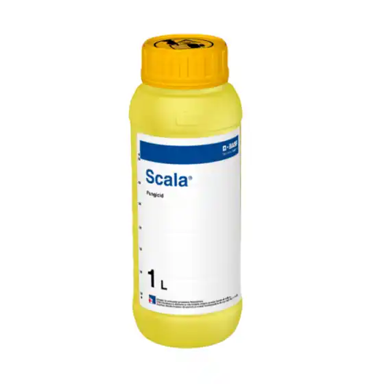 Fungicid Scala, 1 l Calitate înaltă