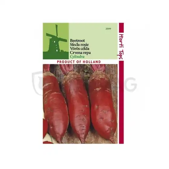 Livrare rapidă Sfecla rosie Cylindra, 5 g