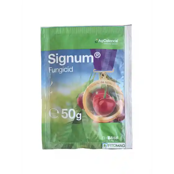 Fungicid Signum, 50 g - 26,7% boscalid 6,7% piraclostrobin Ofertă