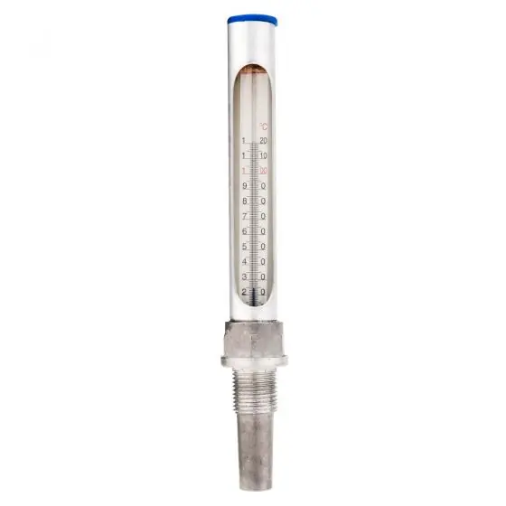 Ofertă specială Termometru Drept 1/2" 100C, Ferro