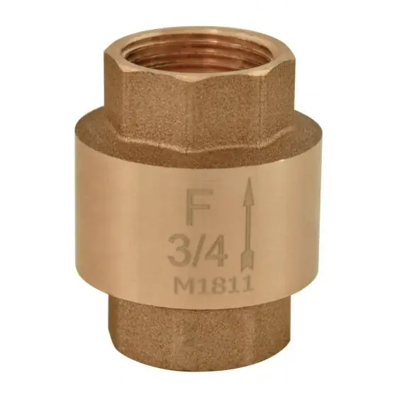 Livrare expres Supapa Sens Cu Arc 1/2", Ferro