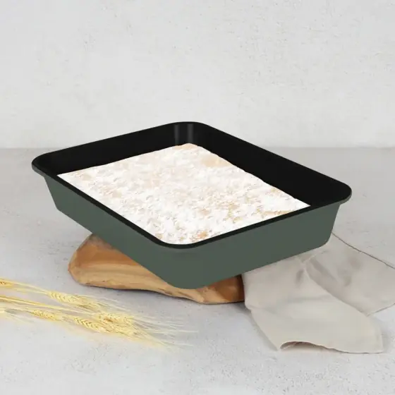 Tavă pentru friptură dreptunghiulară, 40*28 cm, verde mat - BH/7902 Cumpără acum