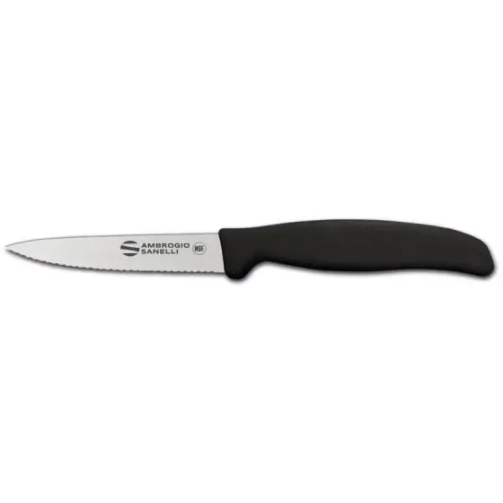 Nu rata Cutit Supra Ambrigio Sanelli, lama inox Nitro-B, 12x210mm, lungime lama 90mm