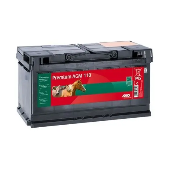 Preț mic Baterie AGM 12 V, 110 Ah