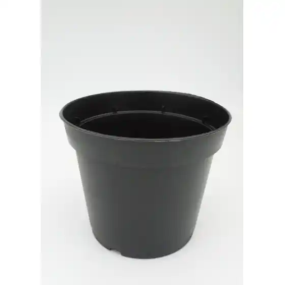 Nu rata Ghivece rotunde pentru rasaduri, culoare negru, diametru 30 cm, adancime 20 cm, volum 10 litri, SemPlus