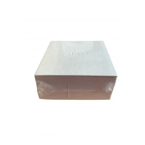 Set placi filtrante Sodinal SDL1 pentru filtrare grosiera, 20x20 cm, 25 bucati(similar cu Rover 4 si Rover 0) Vezi acum