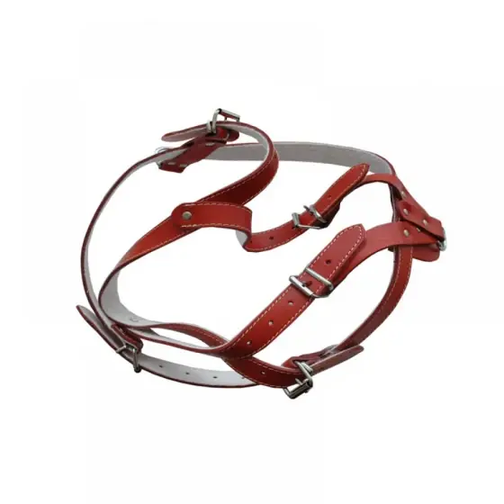 Ham Piele Pentru Caini Nr.6 Cu Ornament Rosu 63-83 Cm Expediere rapidă
