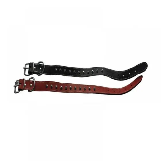 Zgarda Pentru Caini Ps+Conuri 1 6/40Cm Rosu Nr1 Disponibil imediat