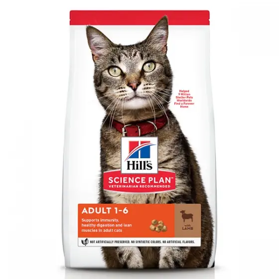 Comandă acum Hill's SP Feline Adult Lamb and Rice 10 kg