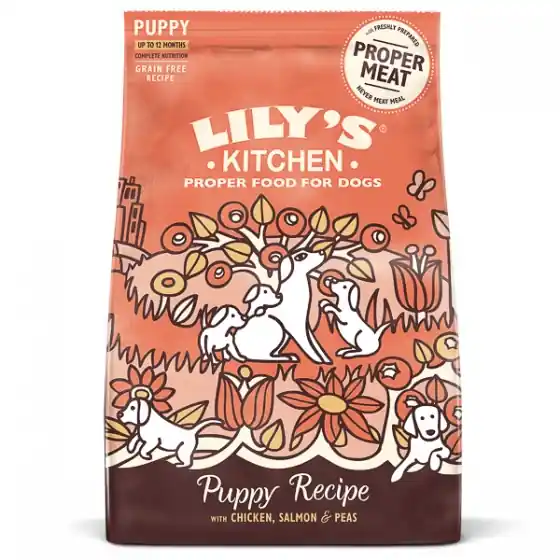 Lily's Kitchen For Dogs Chicken and Salmon Puppy Recipe Dry Food 2.5 kg Cumpără online