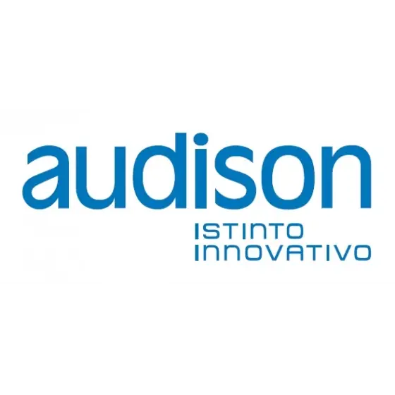 Sticker AUDISON Promoție
