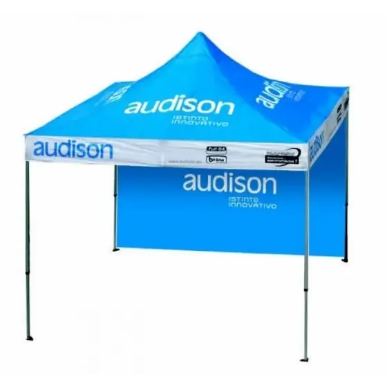 Pavilion AUDISON Doar azi