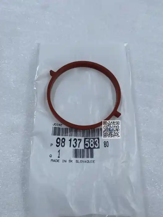 Popular GARNITURA RACORD AER - DV5R 9813758380