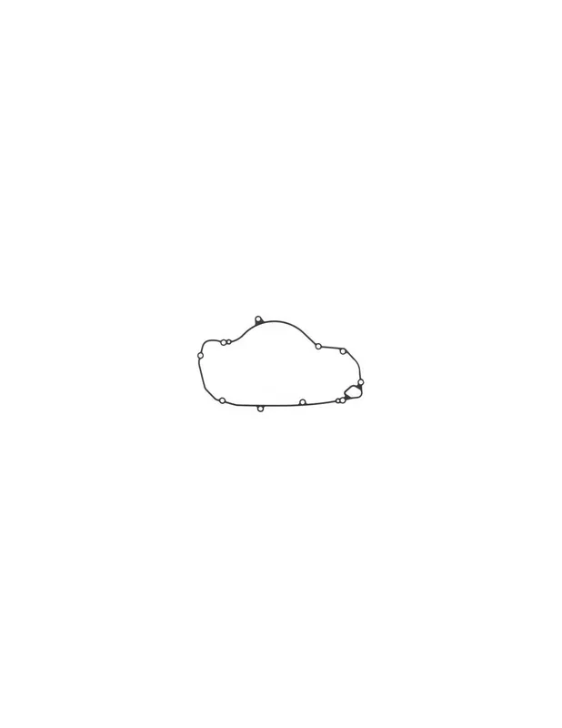 Expediere rapidă KTM Clutch cover gasket inner - A42030025000