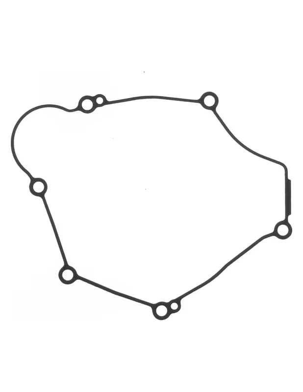 KTM Ignition cover gasket - A42030040000 Promoție