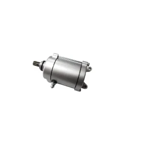 Expediere rapidă Electromotor ATV Bashan 250cc