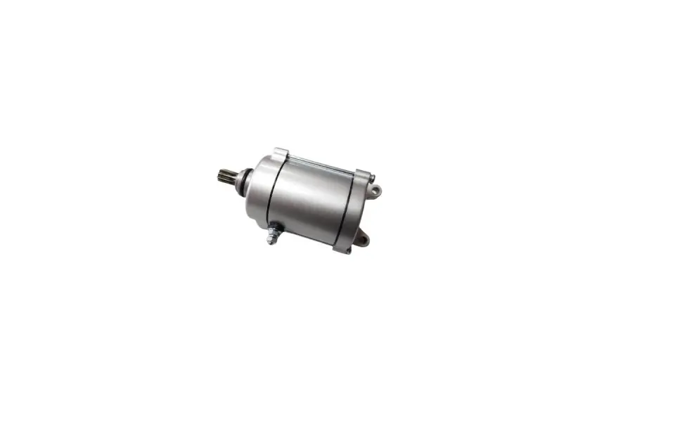 Expediere rapidă Electromotor ATV Bashan 250cc