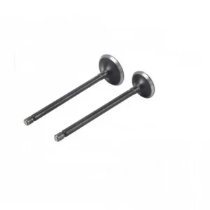 Set supape Yamaha FZ16 WST Nu rata
