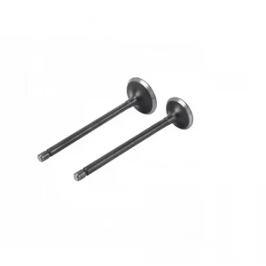 Set supape moped 80cc-4T (chiulasa Ø47mm) Preferatul clienților