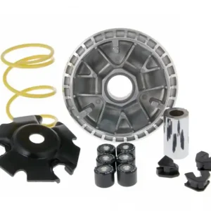 Variator Honda Bali Preferatul clienților