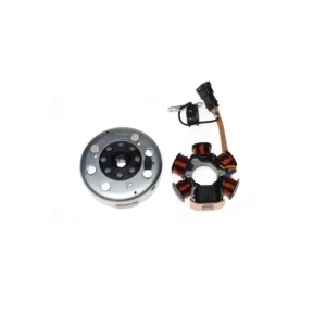Ansamblu rotor+stator Piaggio 2T, 6 bobine Ofertă specială