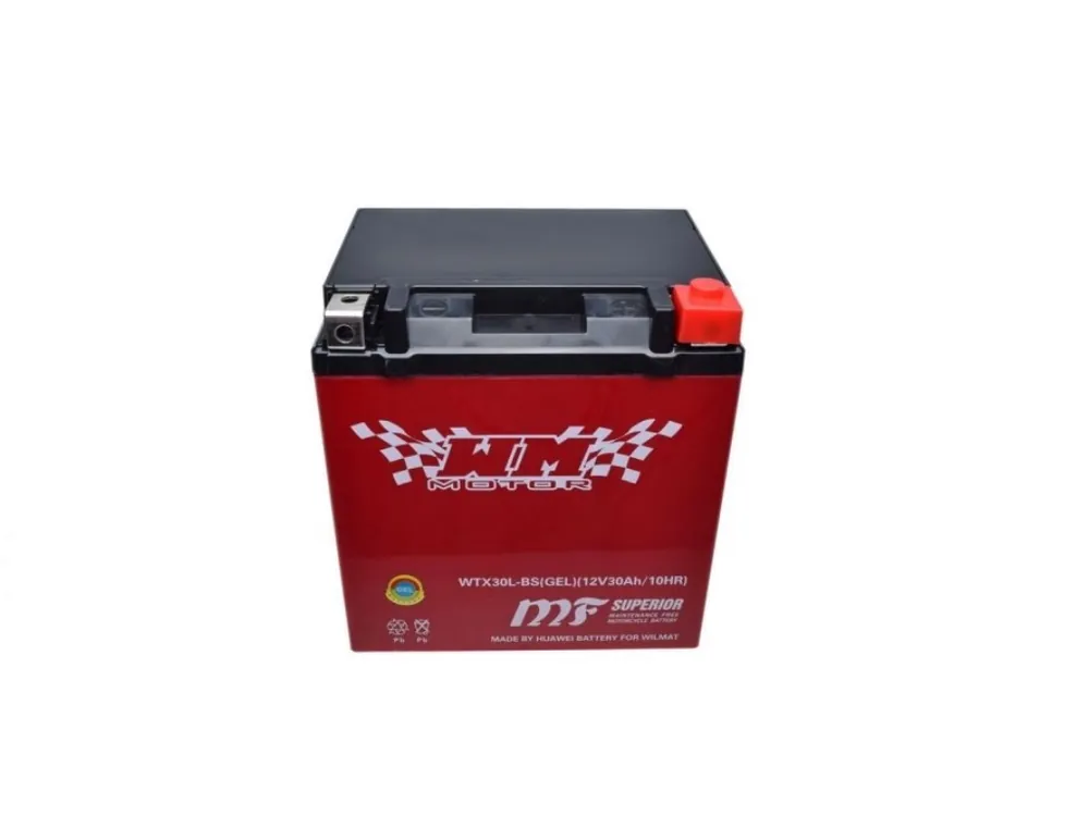 Acumulator 12V-30Ah YTX30L-BS cu Gel Doar azi